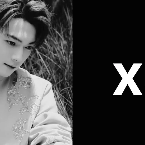 The most loved look of Xu Kai today