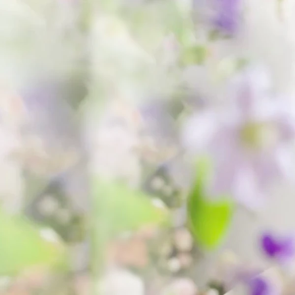 detailBanner