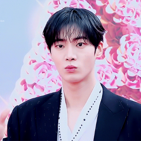 Popular photo full of fans’ love for Choo Youngwoo