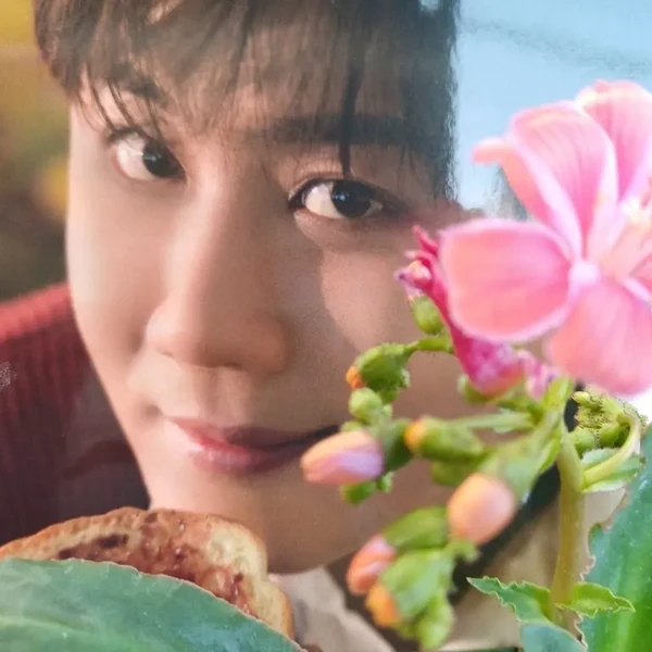 Top moment of Jin Haesung chosen by fans