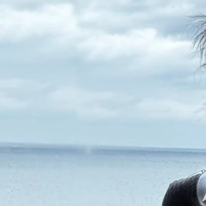 detailBanner