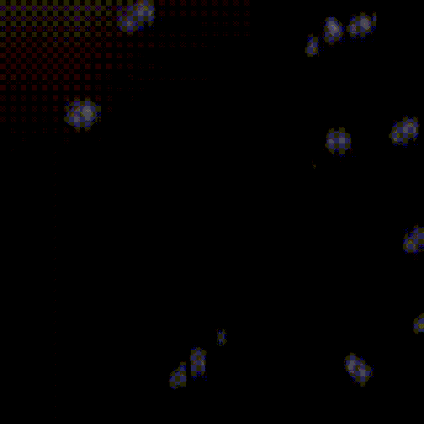 detailBanner