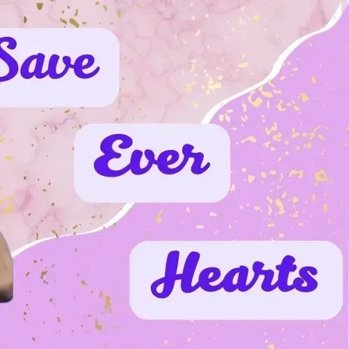 detailBanner