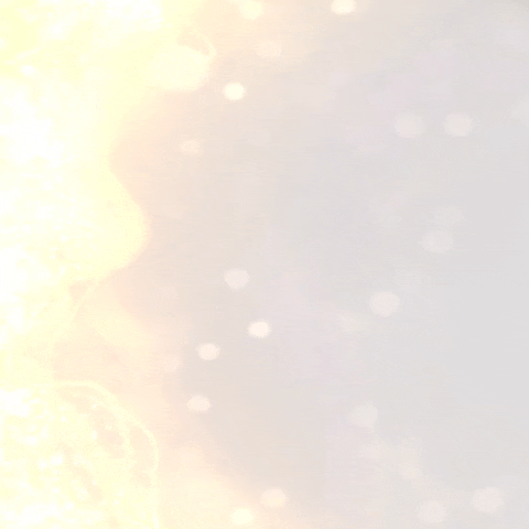 detailBanner