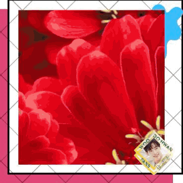 detailBanner