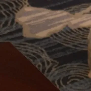 detailBanner
