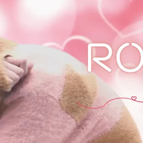 detailBanner