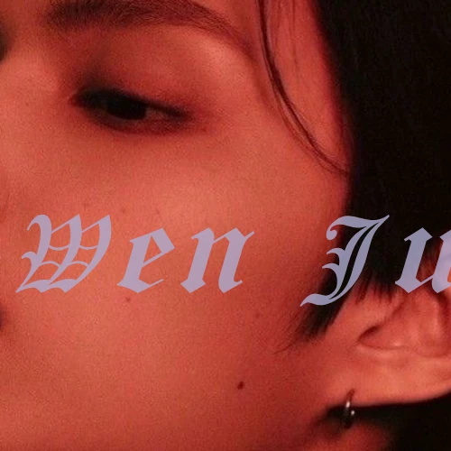 Popular photo full of fans’ love for Wen Junhui