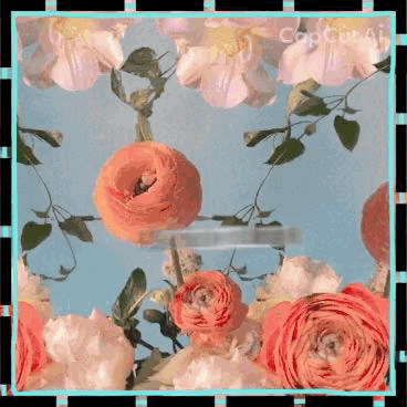 detailBanner