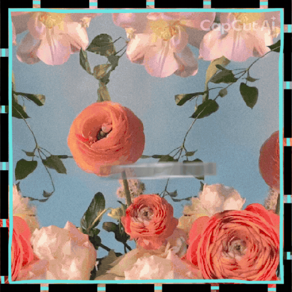 detailBanner