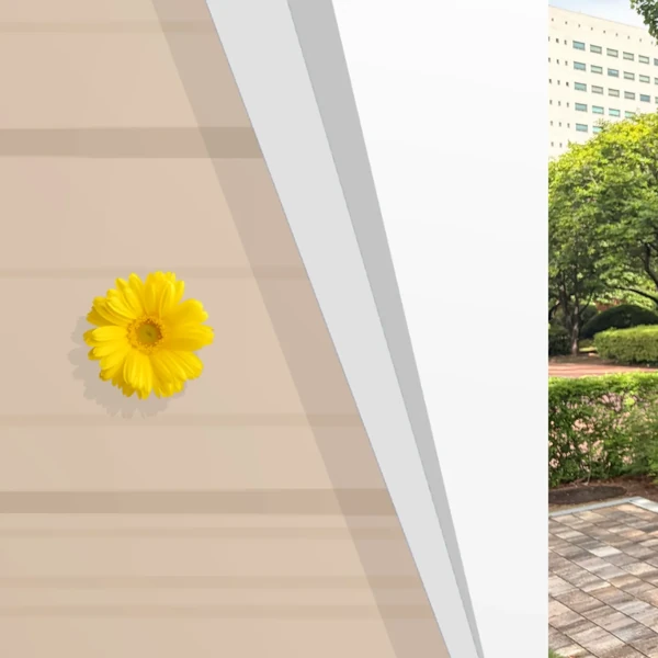 detailBanner