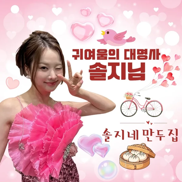 팬들이 뽑은 솔지 최고의 순간
