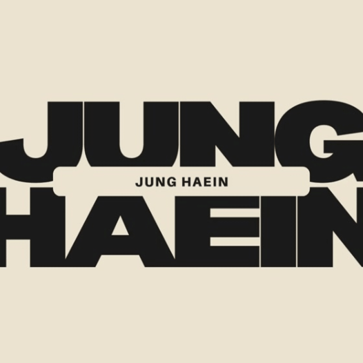 A brilliant moment of Jung Haein created by the fandom