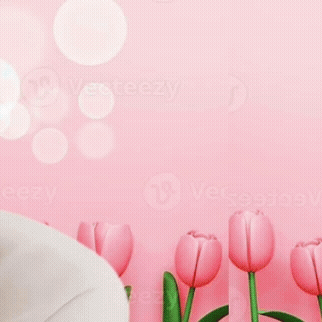 김선호 팬심 가득한 인기 사진