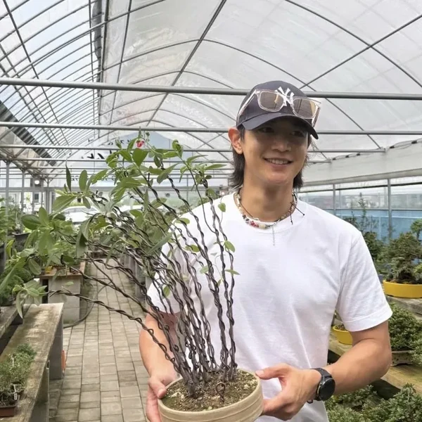 Penampilan Choi Minho yang paling disukai hari ini
