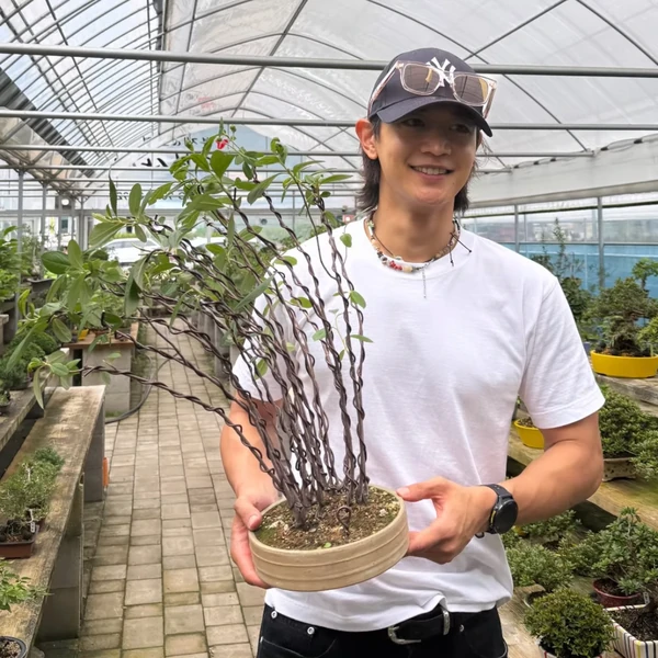 今天最受喜愛的崔珉豪模樣