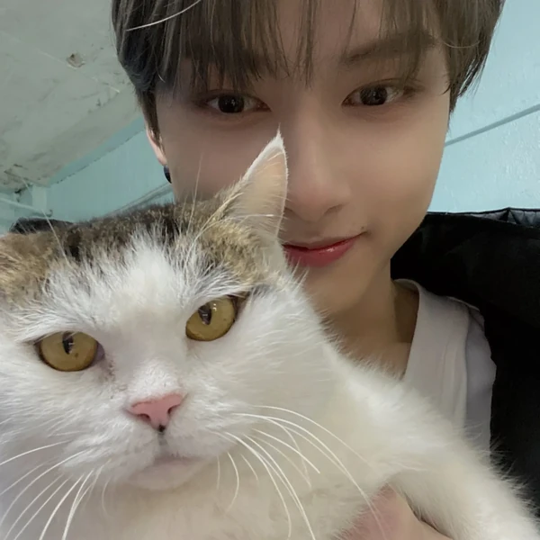 Top moment of Wen Junhui chosen by fans