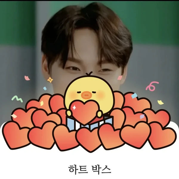 박서진 팬심 가득한 인기 사진