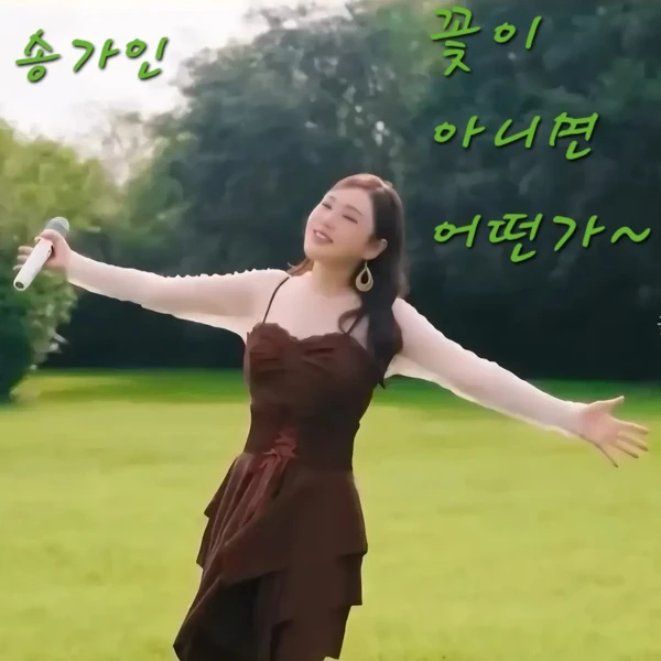 充滿粉絲愛的宋歌人人氣照片