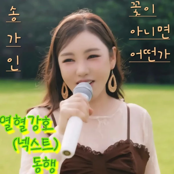 充滿粉絲愛的宋歌人人氣照片