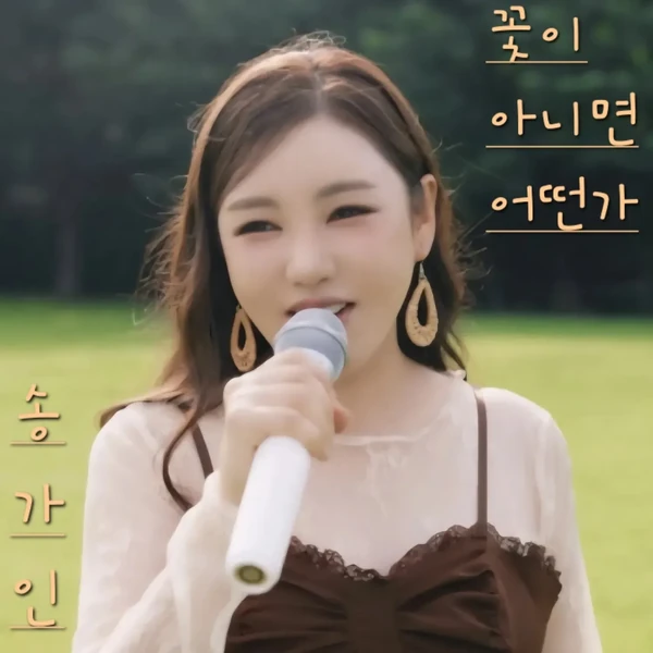 今天最受喜爱的宋歌人模样