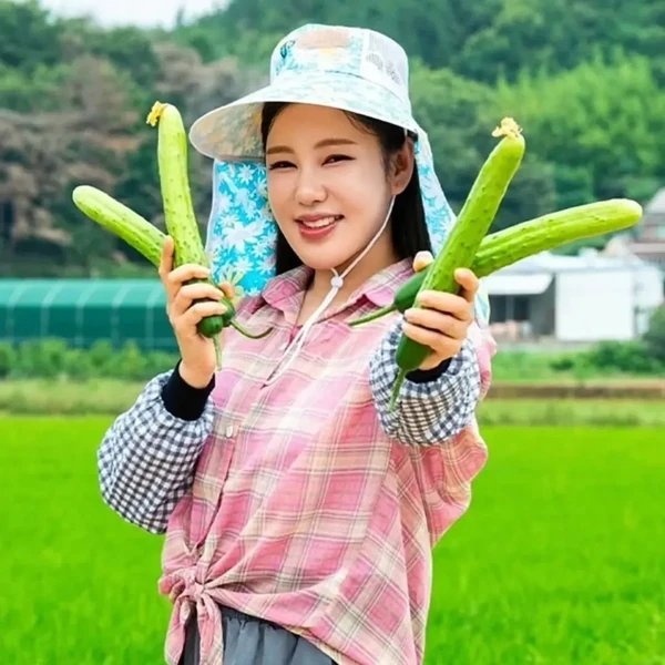 今天最受喜愛的宋歌人模樣
