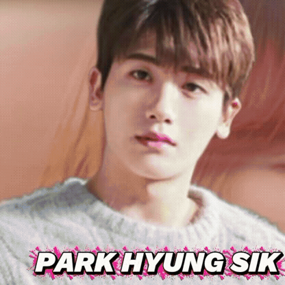 A brilliant moment of Park Hyungsik created by the fandom