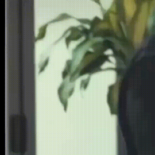 粉絲團製作的Oner第一名橫幅貼文