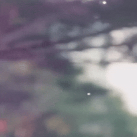 detailBanner