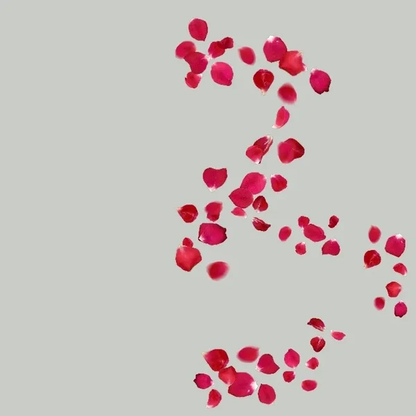 detailBanner