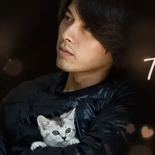 Popular profile image of Hyun Bin selected by vote