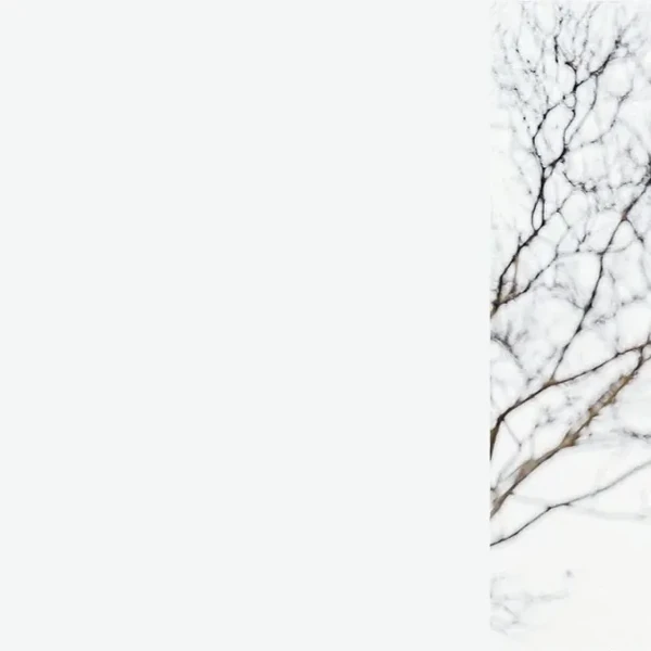 detailBanner