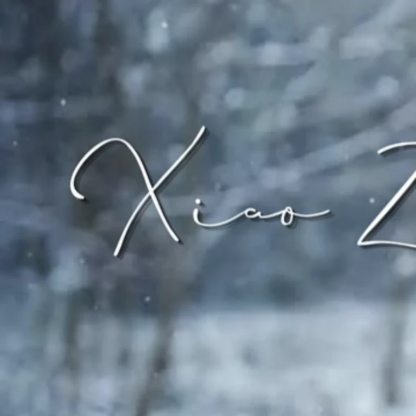 Top moment of Xiao Zhan chosen by fans