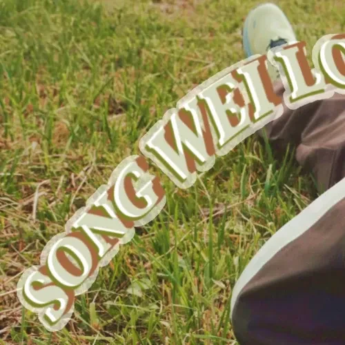 Popular photo full of fans’ love for Song WeiLong