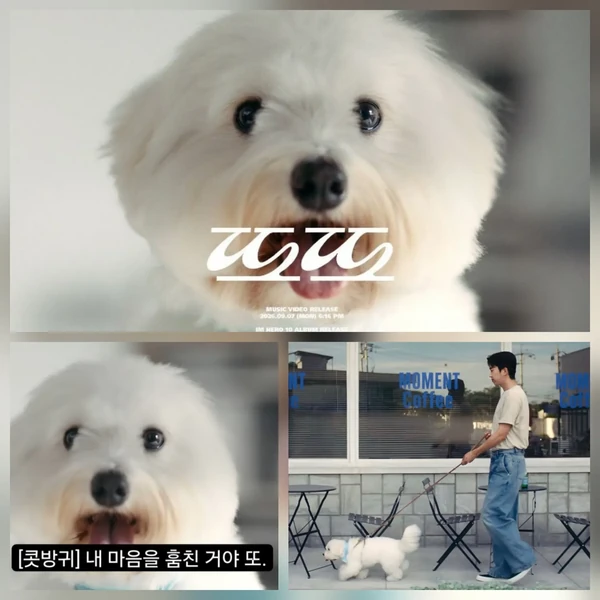 팬들이 뽑은 임영웅 최고의 순간