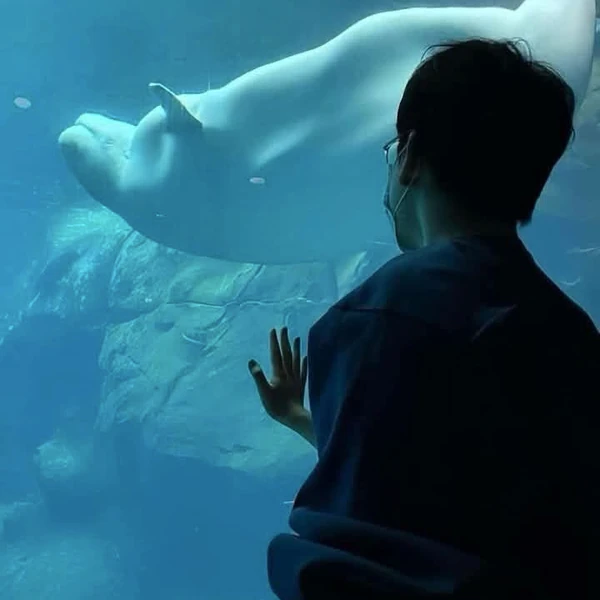 A brilliant moment of Gumayusi created by the fandom