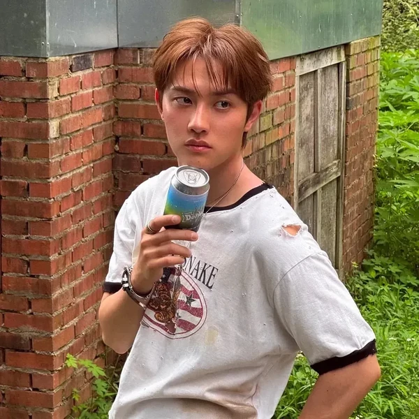 도경수 (디오) 팬심 가득한 인기 사진