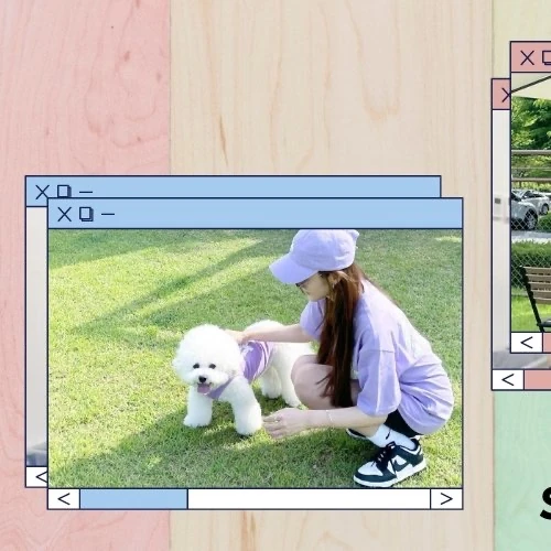 Top moment of Park Minyoung chosen by fans