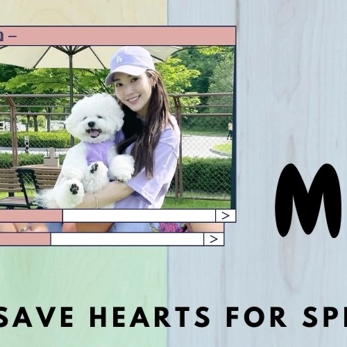 Top moment of Park Minyoung chosen by fans