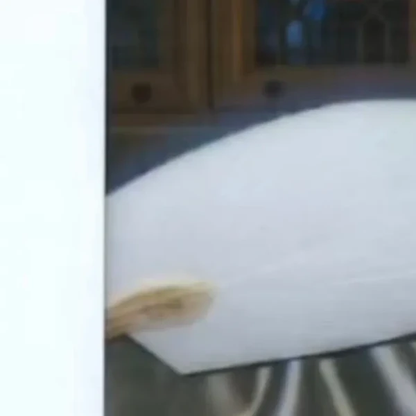 detailBanner
