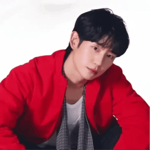 idolProfile
