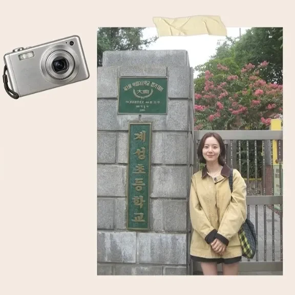今天最受喜愛的文彩元模樣