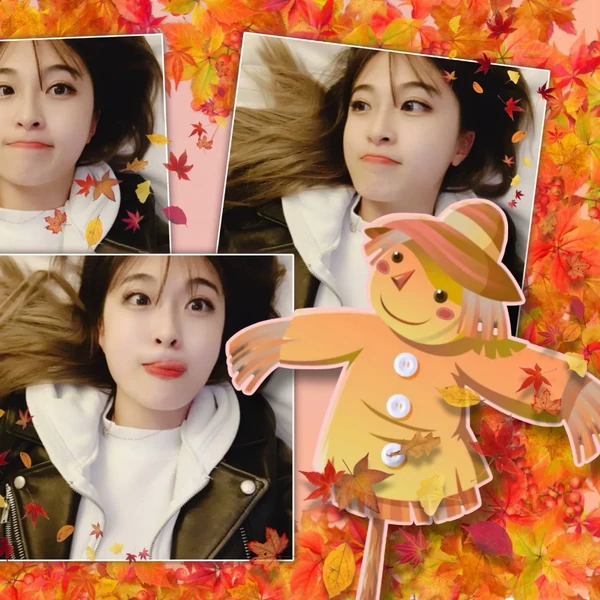 ヤンパンへのファンの愛が詰まった人気写真