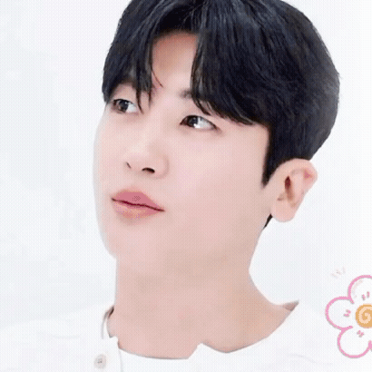 idolProfile