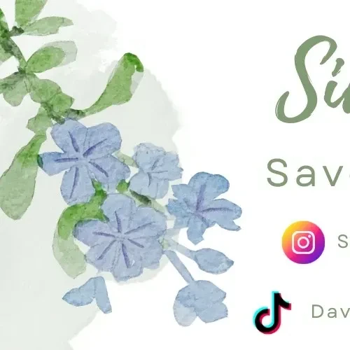 detailBanner