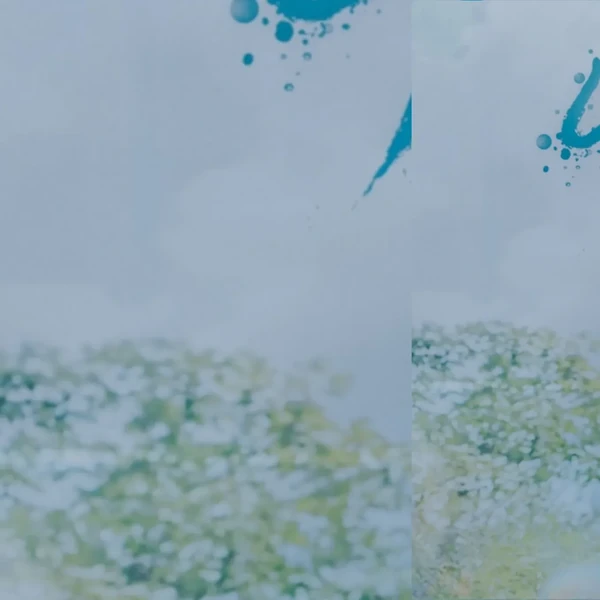 detailBanner