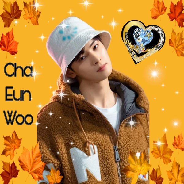 Popular profile photo of Cha Eunwoo loved by fans