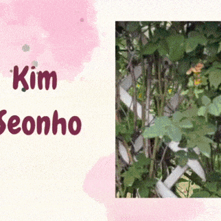 Foto populer Kim Seonho yang penuh cinta dari penggemar