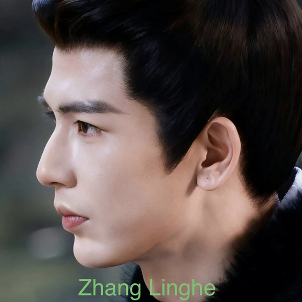 Popular photo full of fans’ love for Zhang Linghe