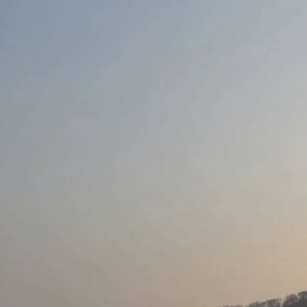 detailBanner